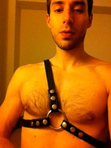 Harness
